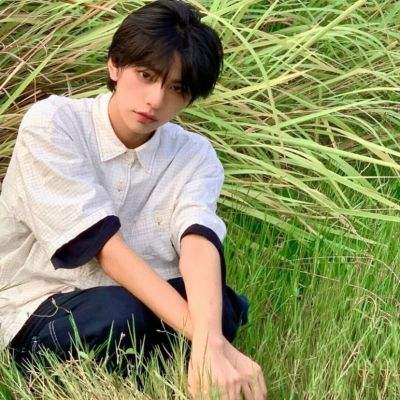 山海镜花变态版下载
