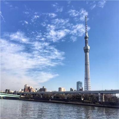 美美小店微信登录版下载